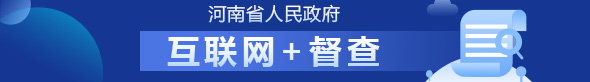 河南省人民政府 互联网+督查