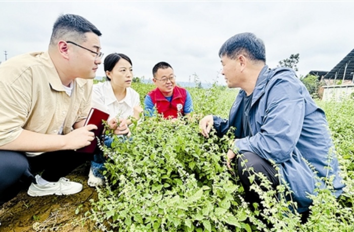 fangmy5a29_b.jpg fangmy5a29_b.jpg