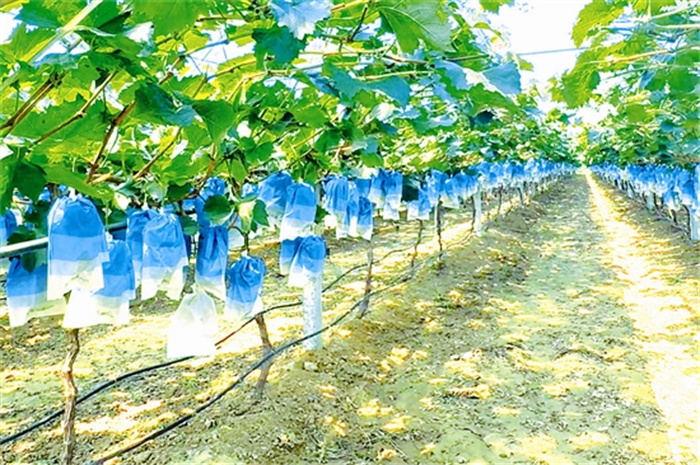 rent5962_b.jpg rent5962_b.jpg