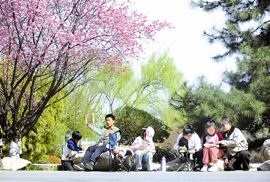 小小画笔绘春天