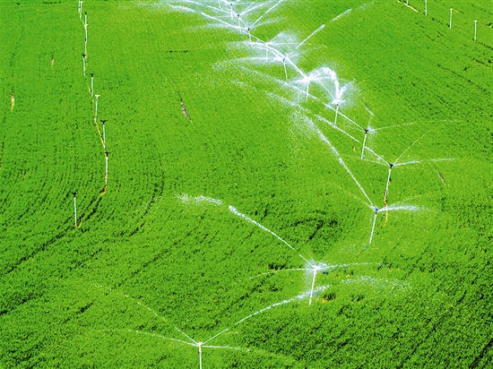 世界杯下注