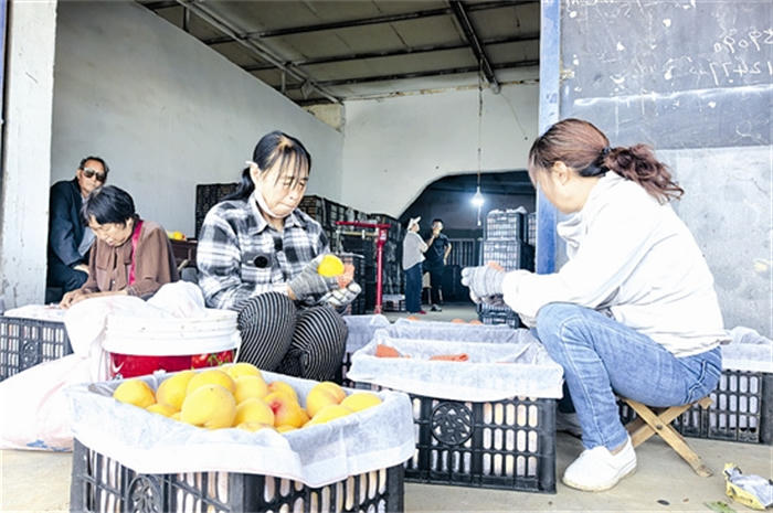 世界杯下注