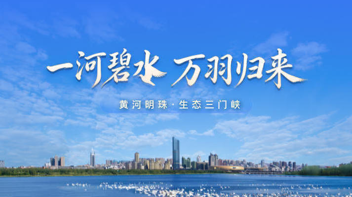 世界杯下注